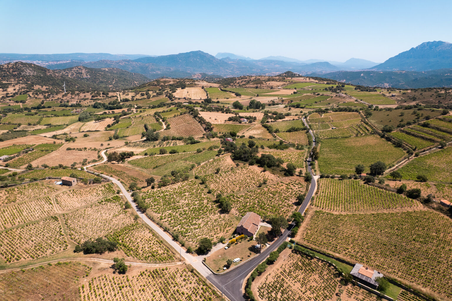 DJI_0145