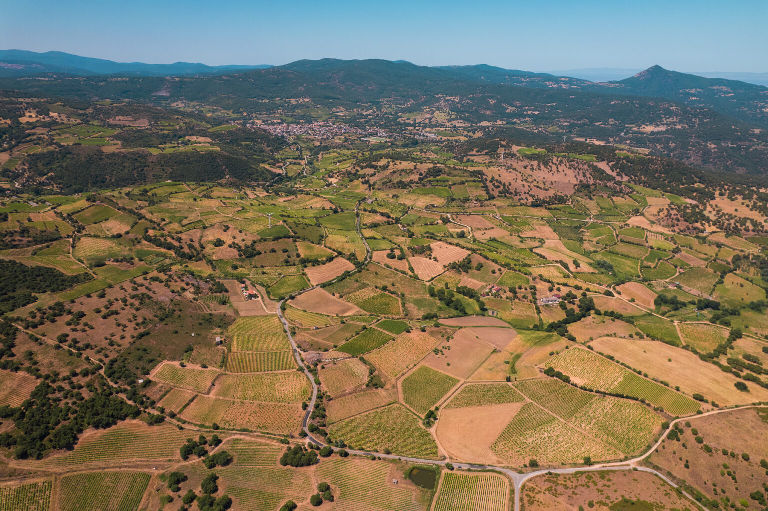 DJI_0155-2