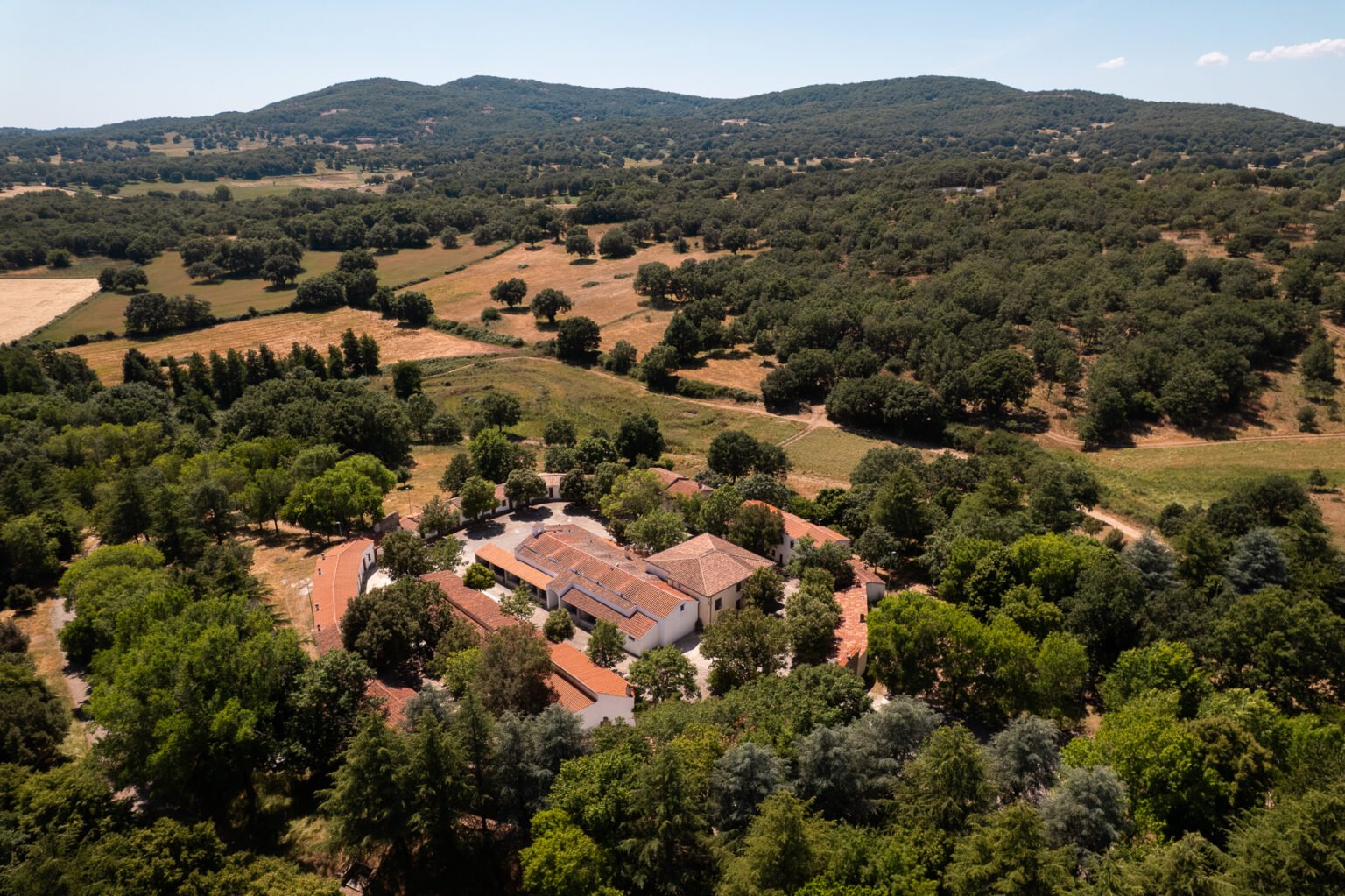 DJI_0175-2
