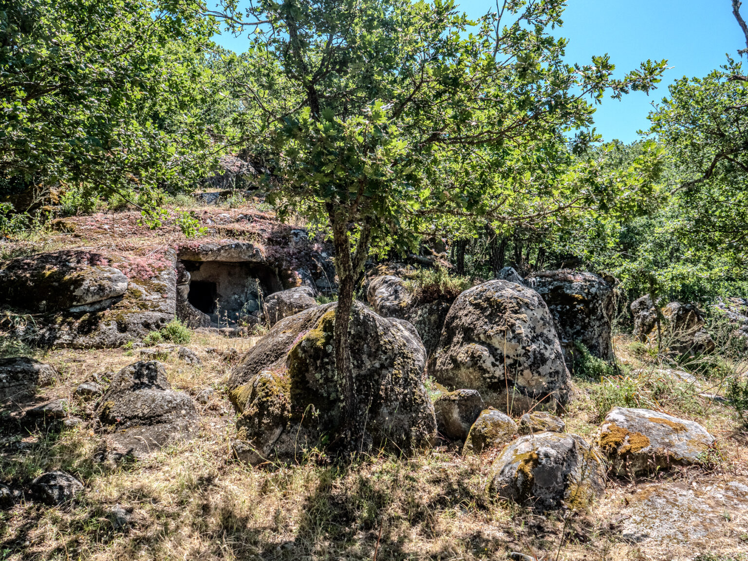P2499131-HDR