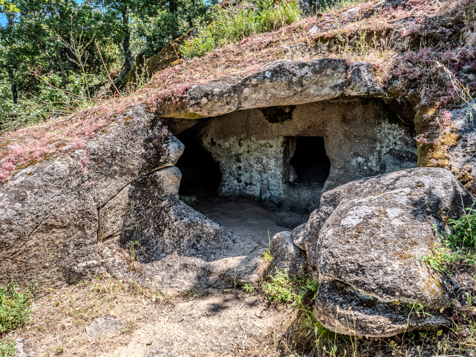 P2499156-HDR