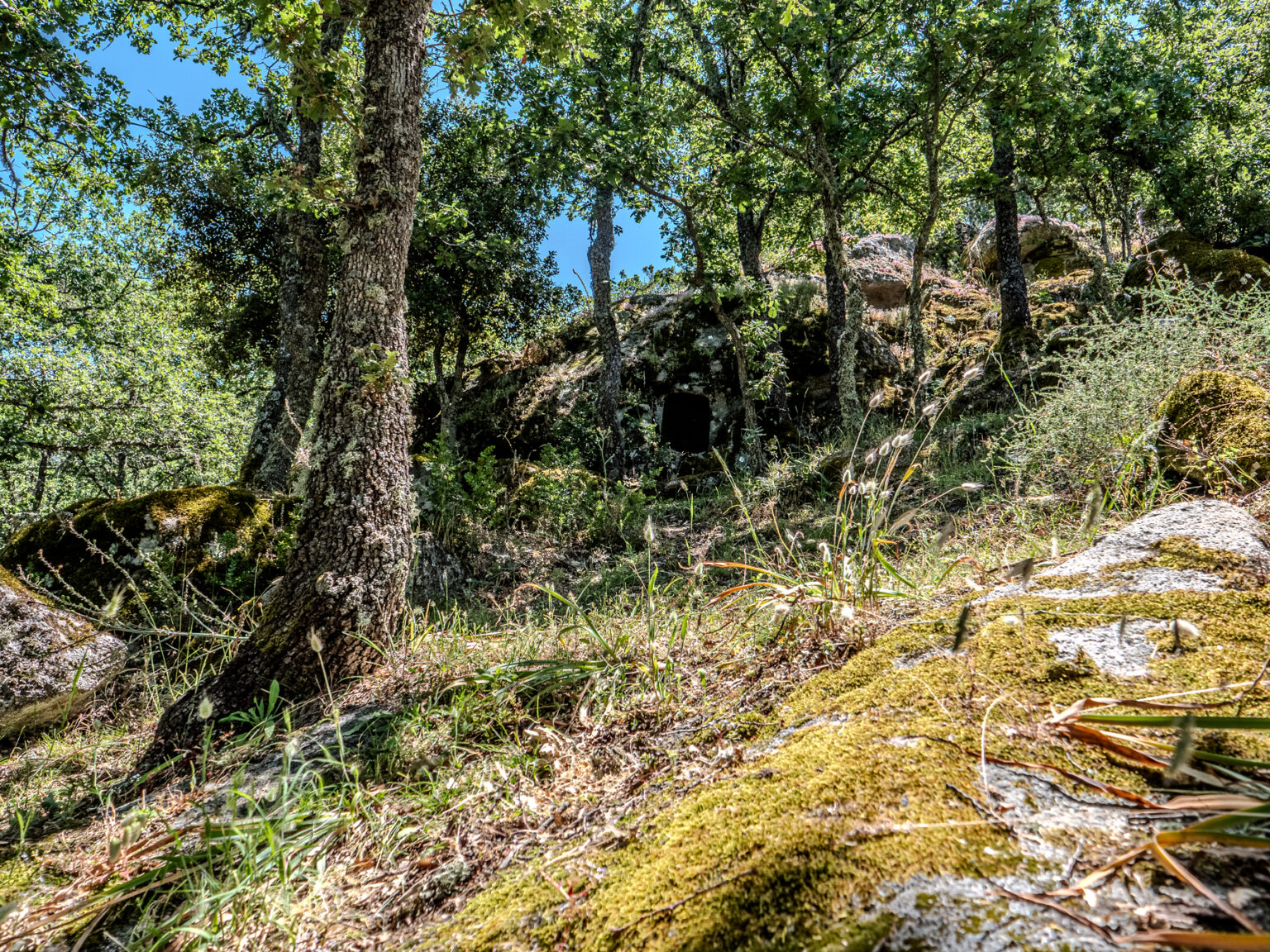 P2499376-HDR