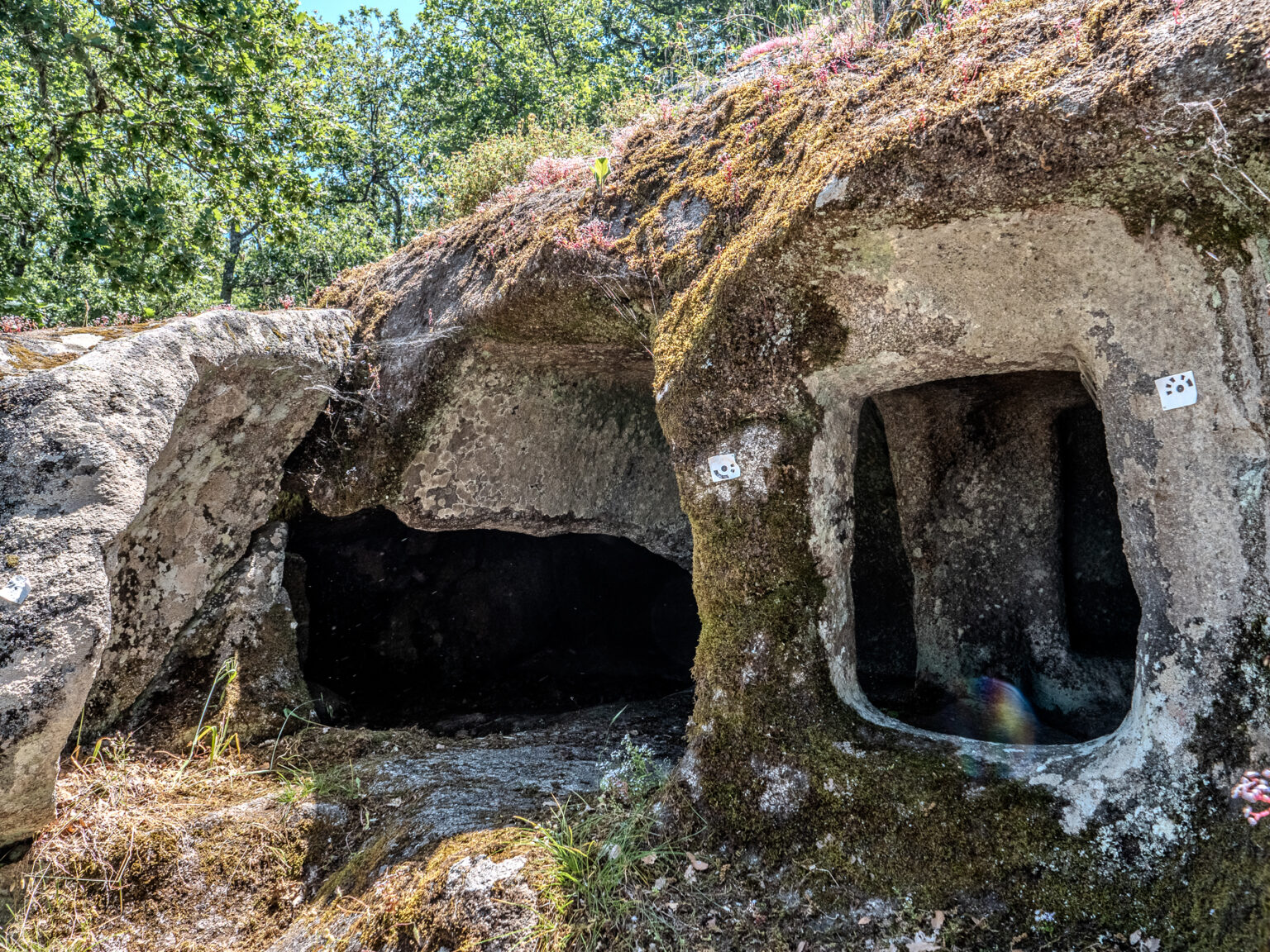P2499526-HDR