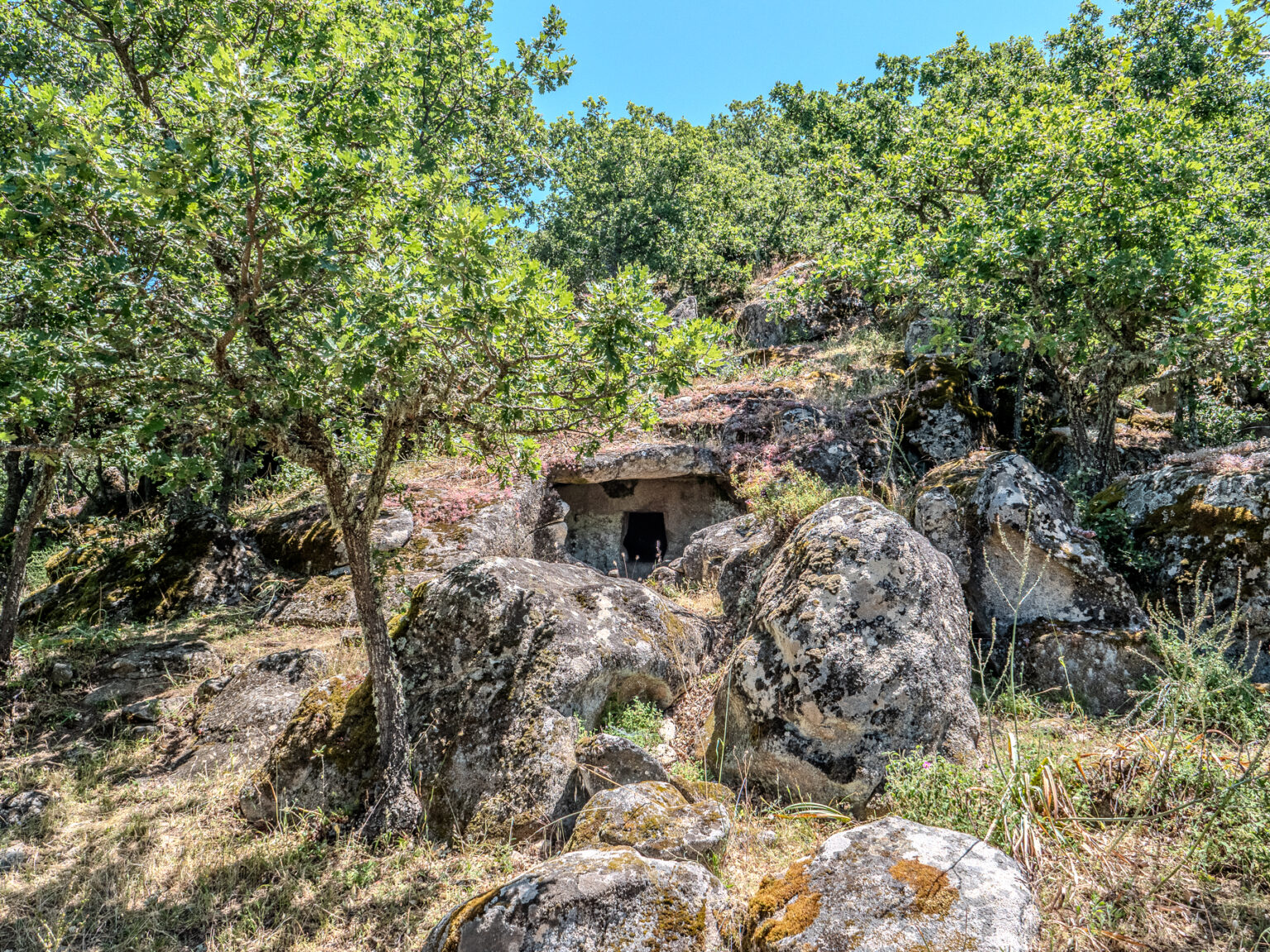 P2499611-HDR