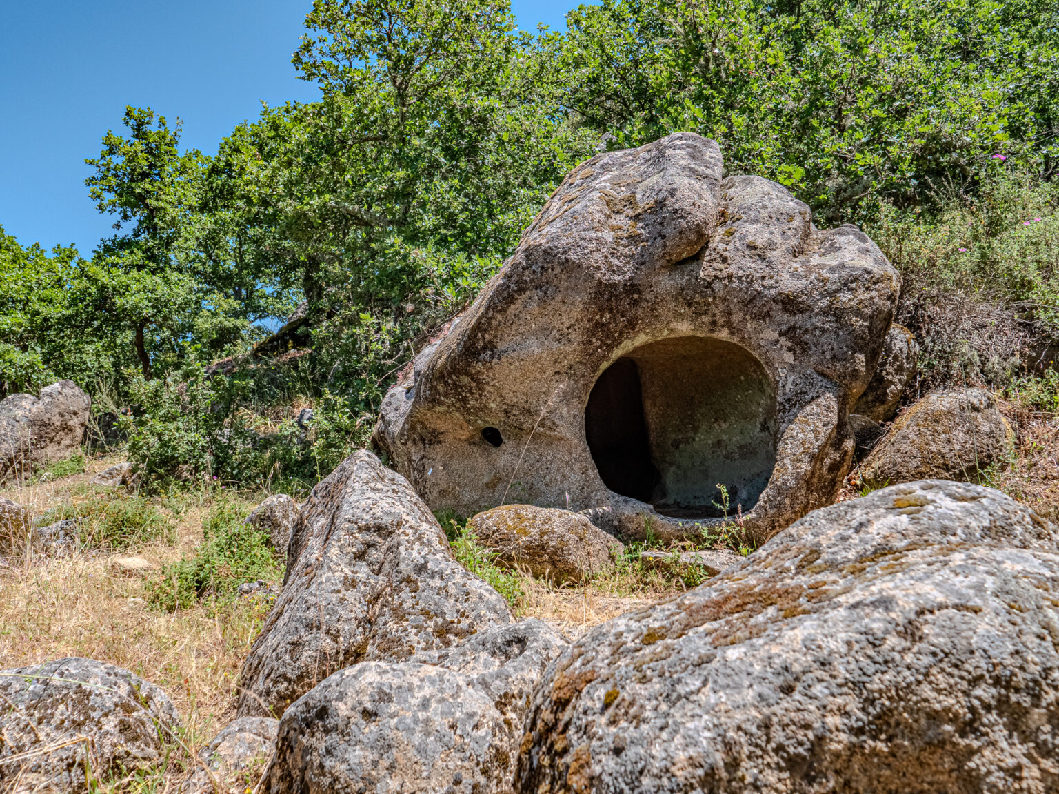 P2499646-HDR